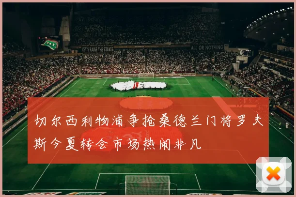 切尔西利物浦争抢桑德兰门将罗夫斯今夏转会市场热闹非凡