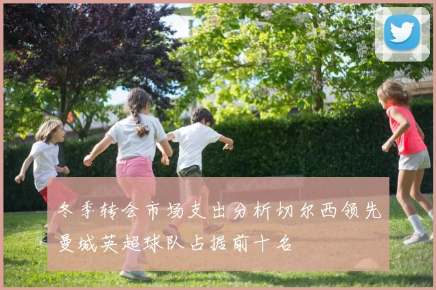 冬季转会市场支出分析切尔西领先曼城英超球队占据前十名