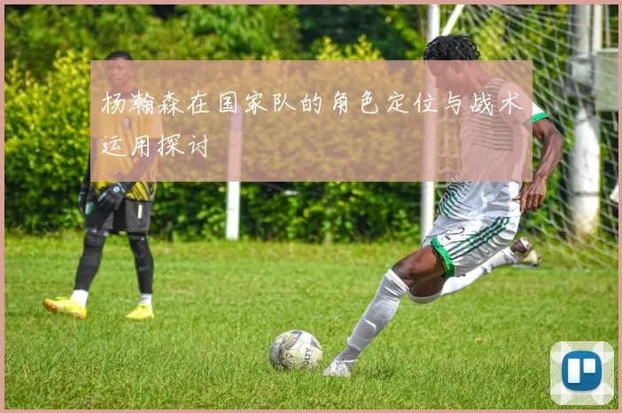 杨瀚森在国家队的角色定位与战术运用探讨